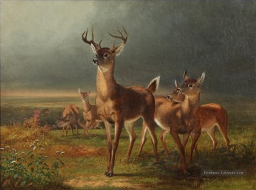  cerf Tableaux - Cerf dans la prairie William Holbrook Beard